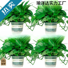 �G�}�����҃�ֲ���·�����������ȩ�����՚�ˮ��Gֲ�����L�پG�}