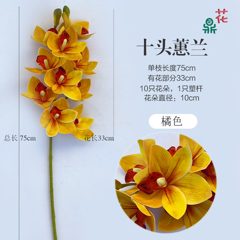 10 심비듐 심비듐 오렌지