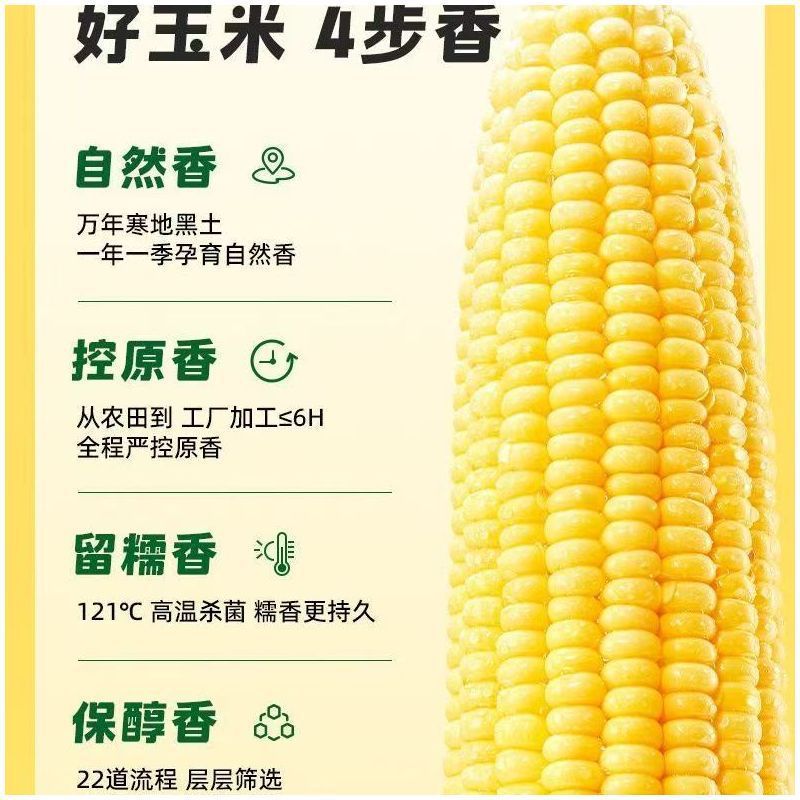 【10月田んぼ 黄色もちとうもろこし 大棒 220g*8本】真空パック 東北産全粒とうもろこし|undefined