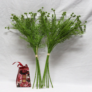 �������ܛ�z�G���ӎ��~�Ӱ�ܛ�b�廨���m��ֲ�����l����