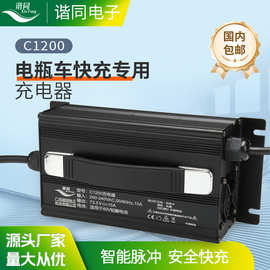 割草机扫地机叉车清洁机器人铅酸电瓶大功率三轮电动车充电器