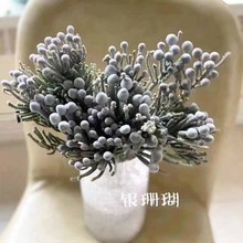 永生珊瑚果 糖果色系香薰精油礼盒diy花材小银果保鲜花材批发