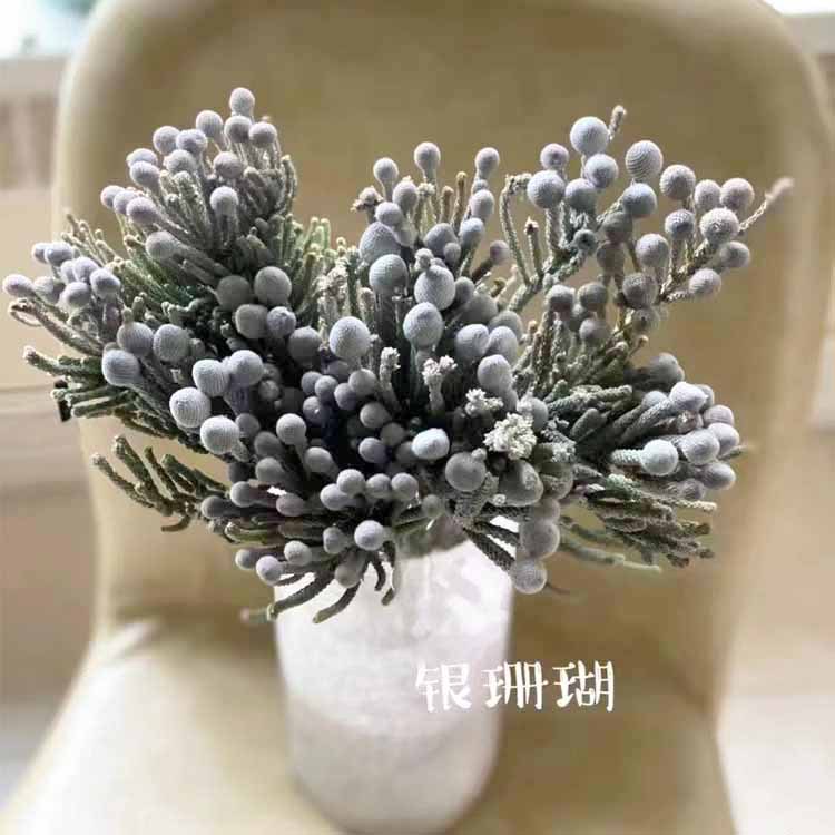 永生珊瑚果 糖果色系香薰精油礼盒diy花材小银果保鲜花材批发