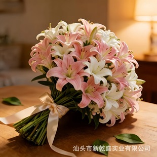 ��ɫ�ٺϻ�+��ɫ�ٺϻ�����ٺϻ����������l�������b羳�N��