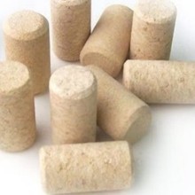 ϳܛľѾƿt Ѿܛɭtƿܛľ