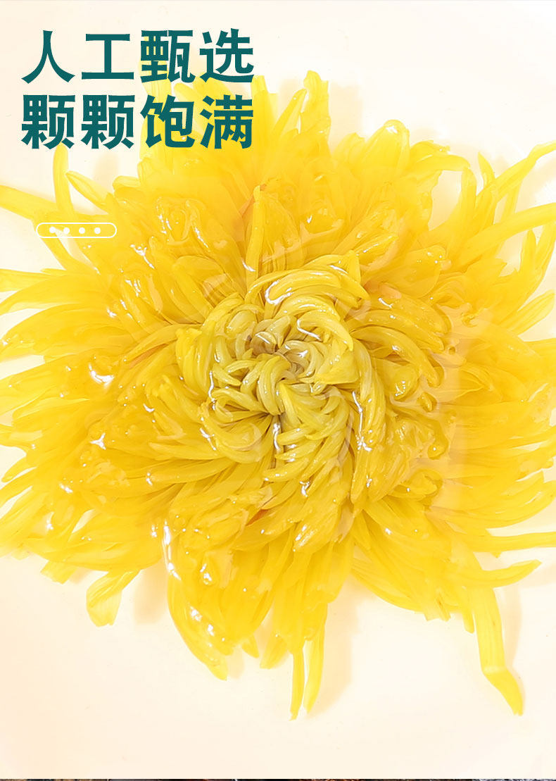 Chrysanthemum Tea Large Golden Silk Huang Ju Blooms 500g Loose Flower Tea for Hot Brewing specifications