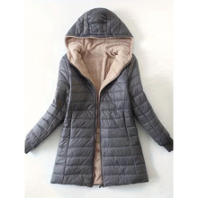 ��L 908 2026��275����ͨ�¿�羳�����������г������������