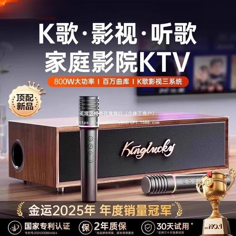 Bluetooth Speaker Home Ktv Audio Set 2025 New Karaoke Amplifier Home Karaoke All-In-One Machine Others