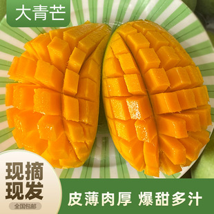 ����â����ϴ���â��Ęâ��������r�Fժ��Ƥ�Ꭷˮ��������Ƥâ
