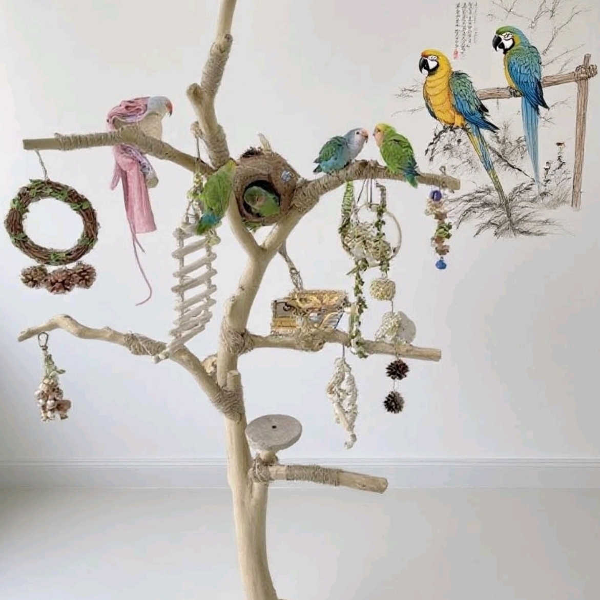 ✅干树枝原木杈干鸟架造型壁挂衣架艺术干枝树干架鹦鹉原木风站架