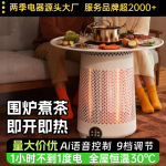 2025新款围炉取暖器电暖器全屋取暖电烤炉家用节能多功能冬天神器