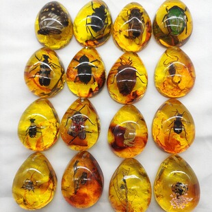 ?�S�����l���x����Y���˱�����ϐ��֩��֪���x��Y��ԭʯ��ͯ��