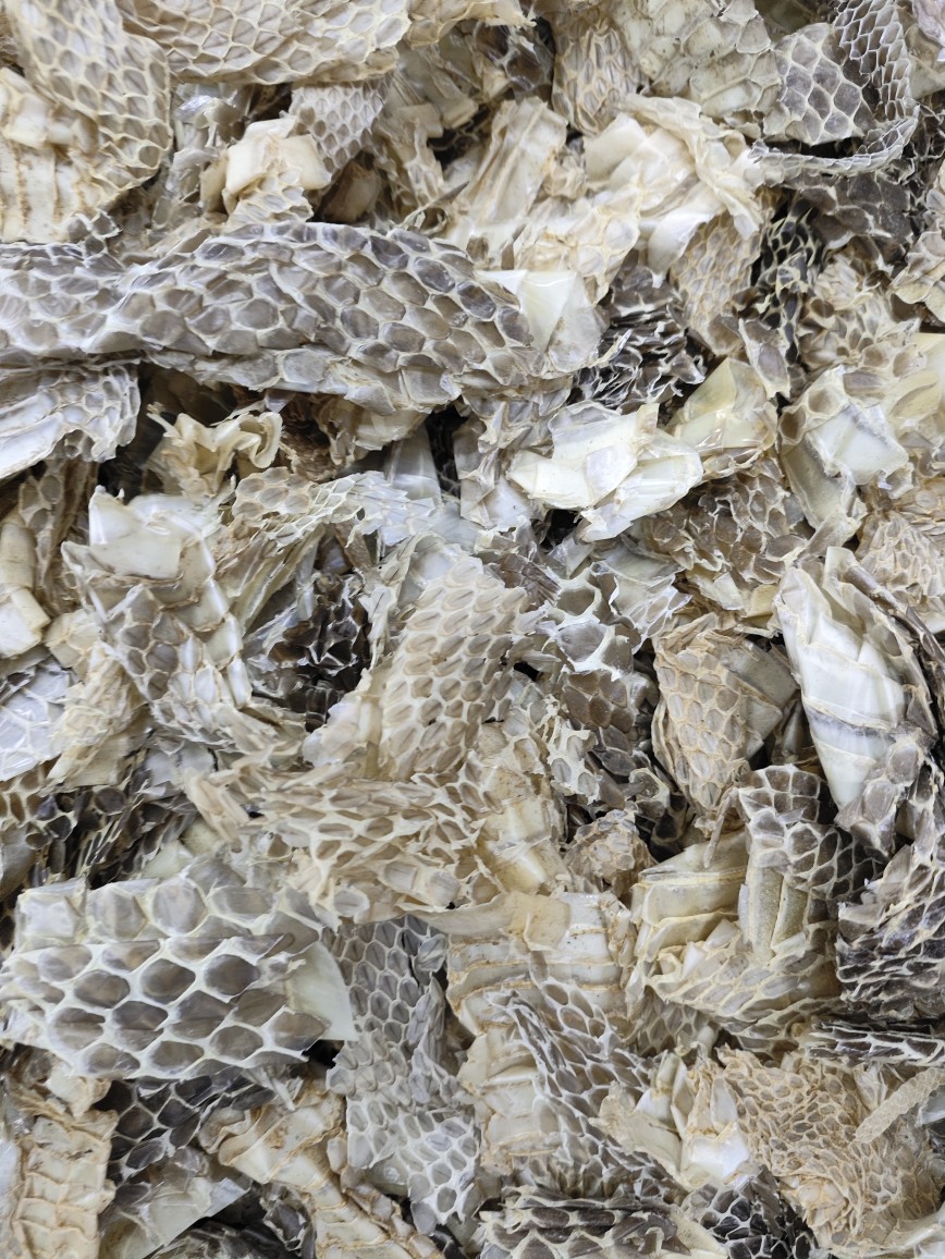 She Tui (Snake Slough) — Dried Shed Snake Skin, Traditional Chinese Herb, 500g overview