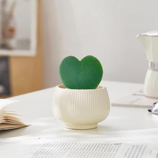 Succulent Plant Heart-Shaped Potted Heartleaf Ball Orchid Cactus Healing Plant Heart-Shaped Green Plant Desktop Mini Ins