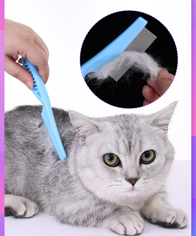 宠物梳子
