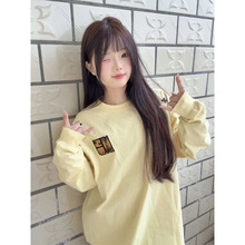 美式刺绣长袖t恤女秋冬2025新款爆款慵懒风设计感小众薄款上衣潮