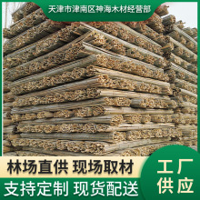 򱱾ӱl֧ηU34Ƭë Ƭ1-8