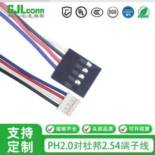 Double Row DuPont 2.54-10P Connection Line to PH2.0-4P Terminal Line 1007 Digital Line Double-ended Test Line