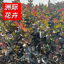 Zqޱ ͥԺGZqt С^GZqޱ