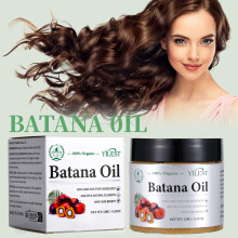 YILEST������Batana Oil�o�l�����̝������ƽë�ڰlĤ�o�l��120g