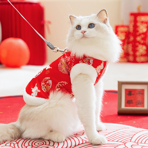 Coats for Cats and Dogs in Autumn and Winter, Festive Chinese Style Brocade, Two-Legged Cotton Coats, Blue Cat, Kung Fu Style Vest