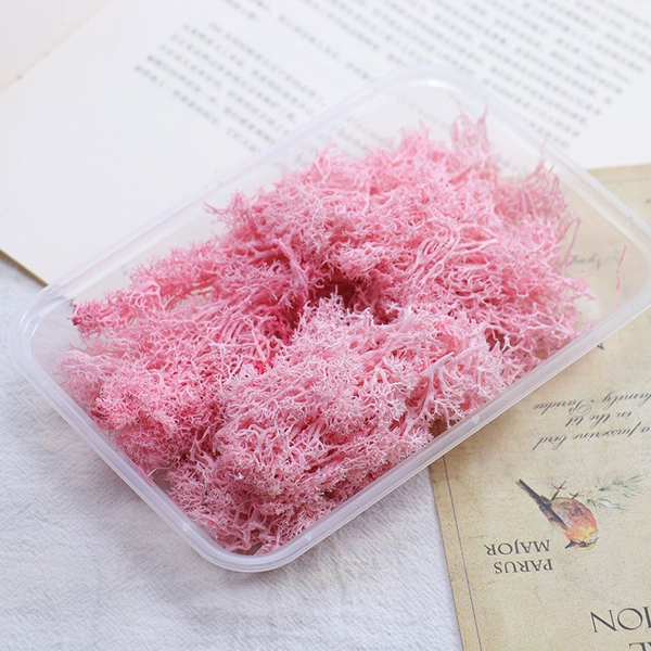 Pink, 30 gram