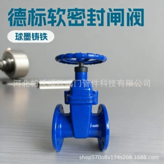 F4德标软密封闸阀 铸铁dn65暗杆弹性座封闸阀