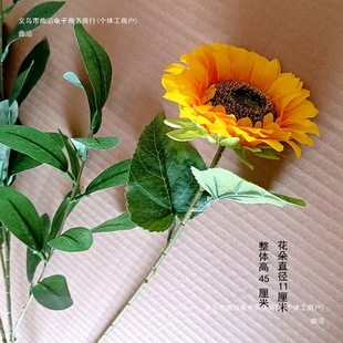 ��������̫ꖻ����տ��赸�������û��\�ӕ���һ�_Ļʽ�������û�