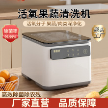 果蔬清洗机洗菜机家用神器智能全自动消毒臭氧气泡水果净化器杀菌