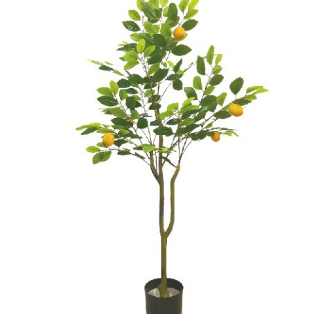 Simulación de limonero en maceta lemonTree Bonsai interior plástico pequeño árbol frutal planta verde Simulación de limonero