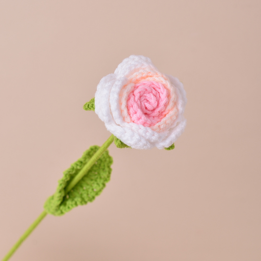 Rosa Gradiente Rosa