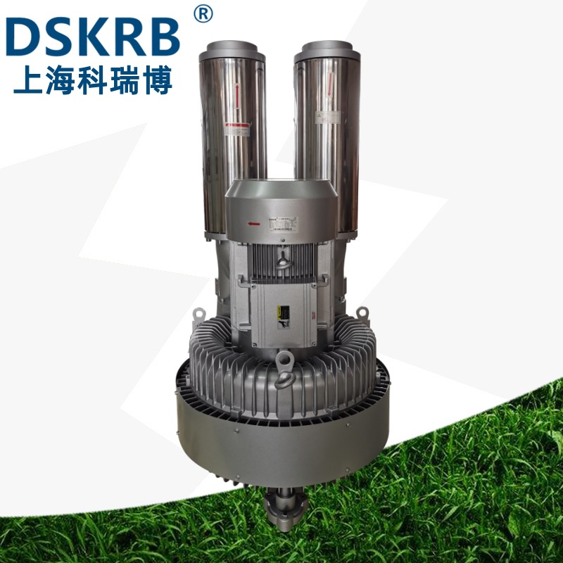 2PB943H37 20KW高压鼓风机 立式向上旋涡气泵 漩涡鼓风机