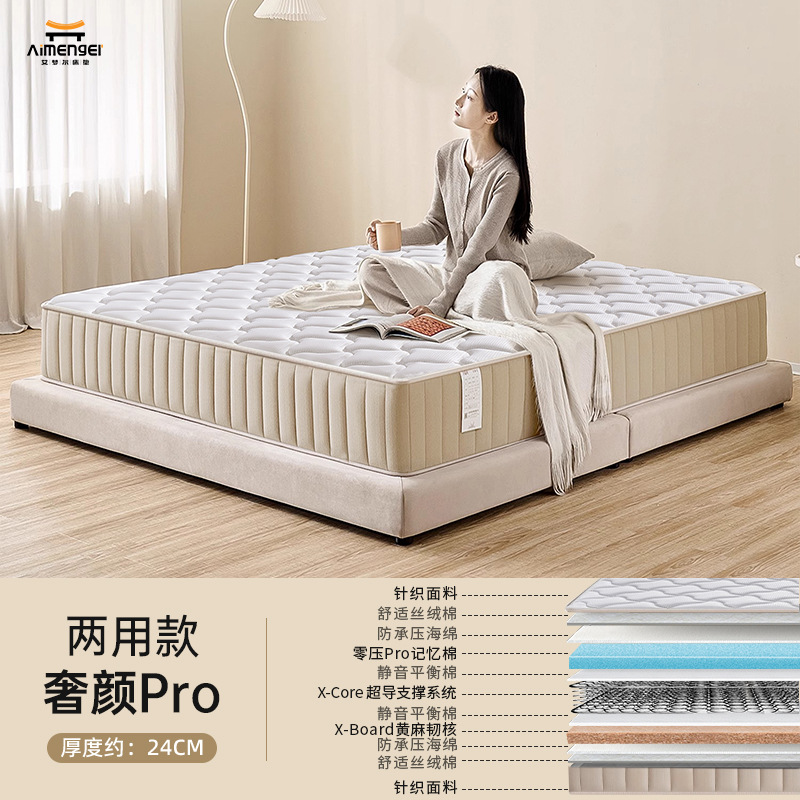 Luxurious and economical room dual-use model [24cm]