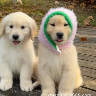 ���l�B���pѪ�y��ë��Ȯ���w������äȮѲ�ع���Ȯ��H����Ȯ