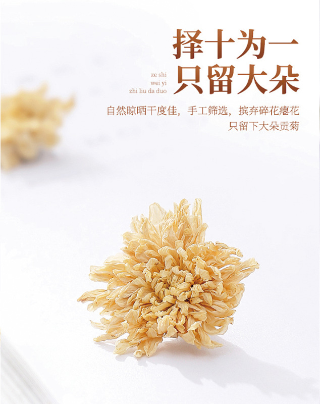 White Chrysanthemum Tea Bai Ju Hua Loose Flower Tea 35g Canister for Hot Brewing overview