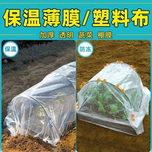 Greenhouse Film Plastic Film Thickeneded Insulation Vegetable Planting Shed Film Antifreeze Agricultural Plant Vegetable Garden Transparent Pile