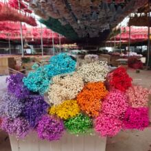 �M����������120���b���DIY���ϸɻ���cܛ�b���l�羳�ֹ��滨