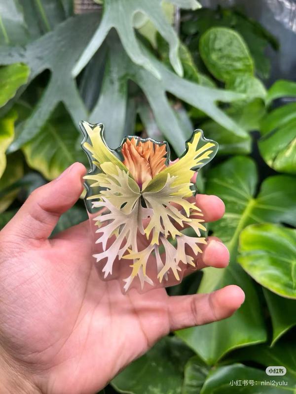 植物の魔法】熱帯の珍しい植物のアイデアの緑の植物の冷蔵庫は緑の植物の装飾の植物のシリーズの冷蔵庫を貼って貼ります。|undefined