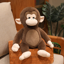 С�J������ë�q��߹�����ż����