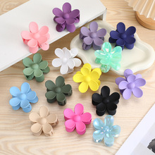 �S��ֱ�N��ɫĥɰ����ץ�AŮ���X�ױP�l���~�A��̖�߼��о��°l�A