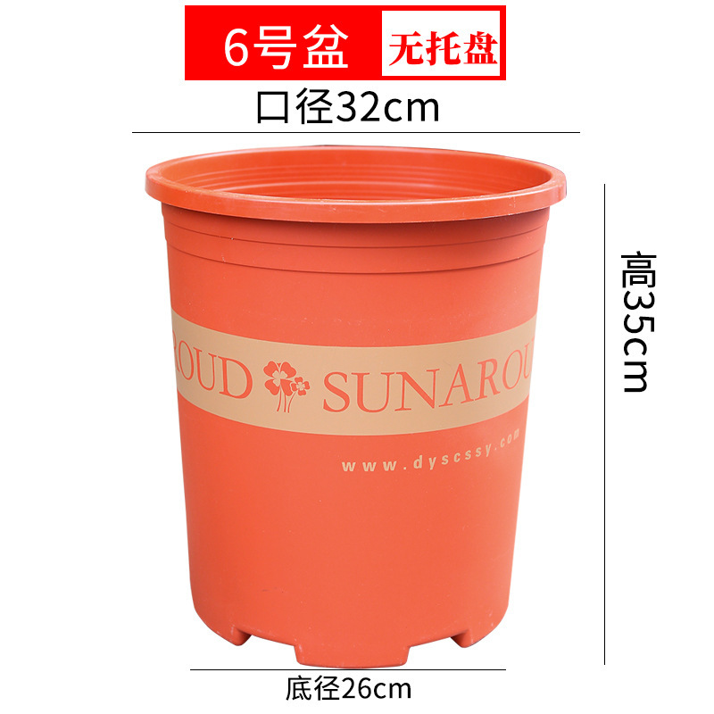 톨 레드 6갤런 [지름 31.7cm, 높이 30cm] / 트레이 없이