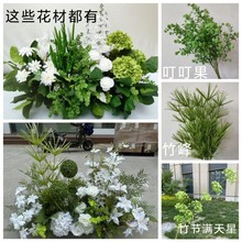 ✄高枝竹峰满天星蓬莱松深绿浅绿森系婚庆婚庆装饰路引插花挑高叶