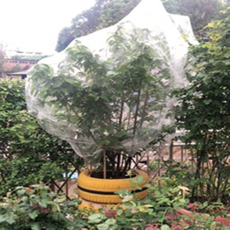 Cherry Bayberry Wax apple Fruit tree Bird Drosophila melanogaster Pest control Net cover ventilation Translucency Vegetables greenhouse Insect
