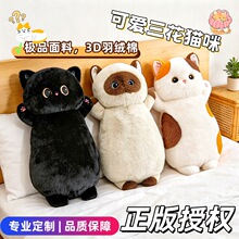 �羳�ɐ�����؈���_؈ë�q��߹���؈�䲼���ޱ��탺ͯ�Y�����l