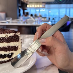 304 stainless steel ice cream spoon high-looking Internet celebrity dessert spoon household long handle coffee mixing spoon square head cake spoon