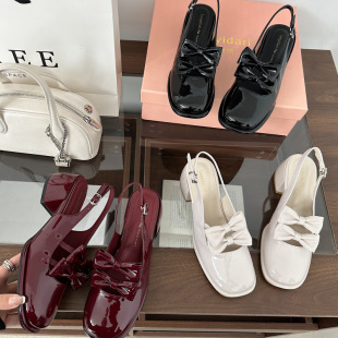 French Style Thick Heel One-Strap Shoes 2025 Summer New Square Toe Mary Jane Sandals for Women