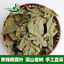 ҽXԭ~ ŘҰXXԭ~B500