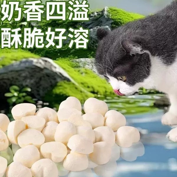 Leche de cabra congelada para gatos, leche de cabra en polvo, palillos de molienda de dientes para gatos, bocadillos para gatos, queso para gatos embarazados, galletas para gatos