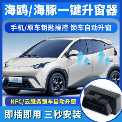 BYD Dolphin/Seagull One-Button Window Glass lifter