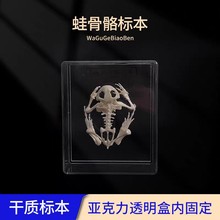 J43108�ܹ����˱� �ЌW�������� ��������˱� �̌W�x��